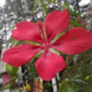 Meet your Posher, Marina